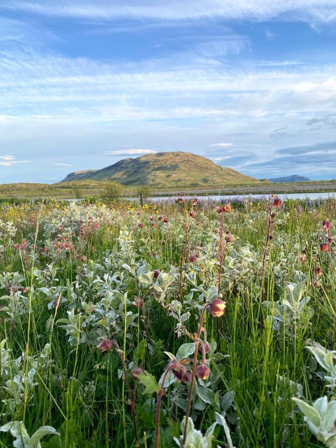 Bjarmaland Cottages Selfoss Exterior photo